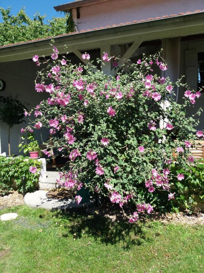 Les Eygletieres Bed & Breakfast Bourriot-Bergonce Exterior foto