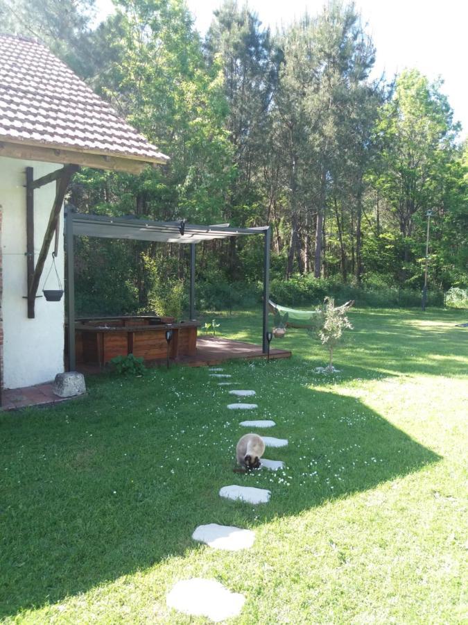 Les Eygletieres Bed & Breakfast Bourriot-Bergonce Exterior foto