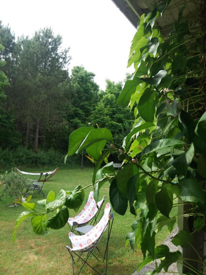 Les Eygletieres Bed & Breakfast Bourriot-Bergonce Exterior foto